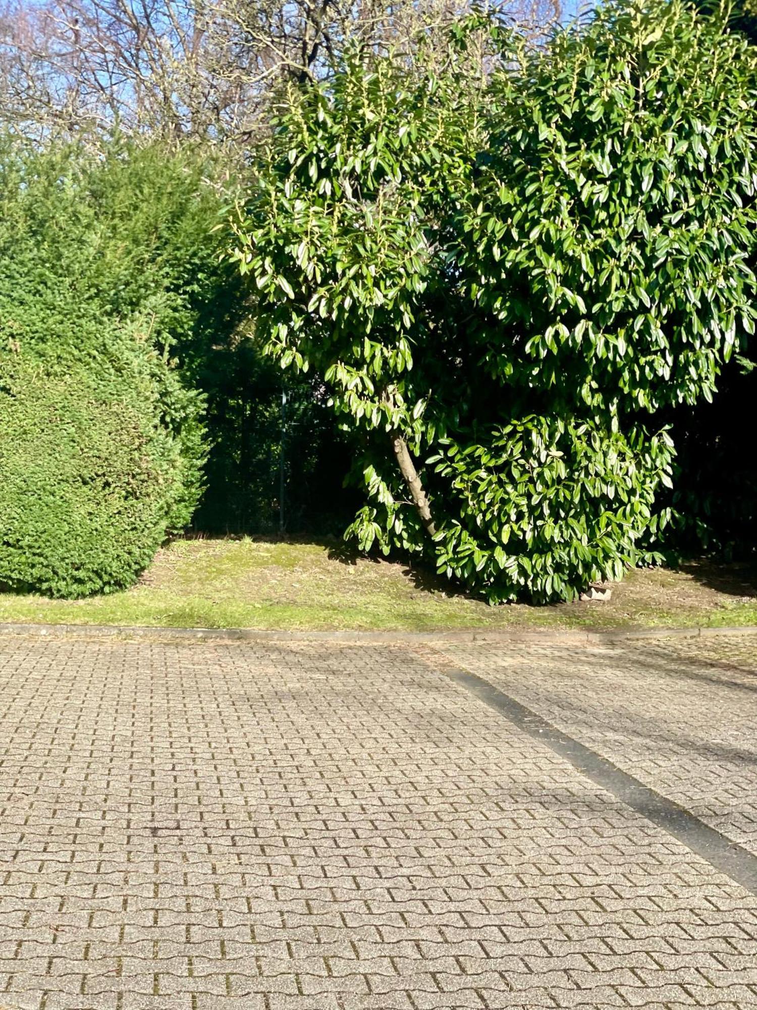 Suesses Apartment Am Klinikum In Solingen Exterior foto